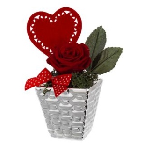 Vaso con Rosa