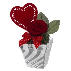 Vaso con Rosa