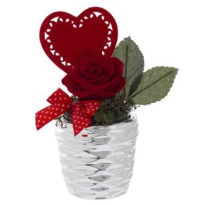 Vaso con Rosa